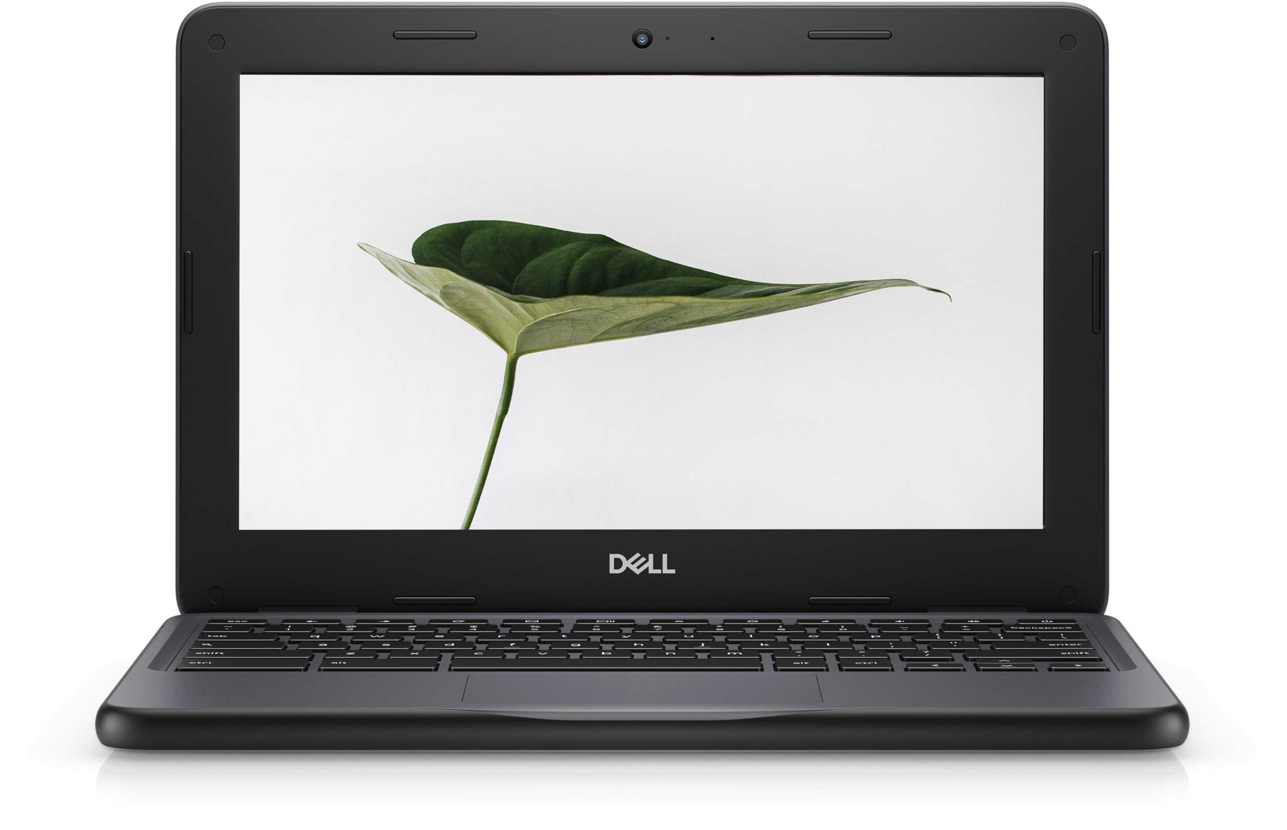 Dell Chromebook 3100