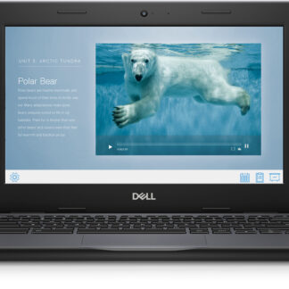 Dell Chromebook 3100