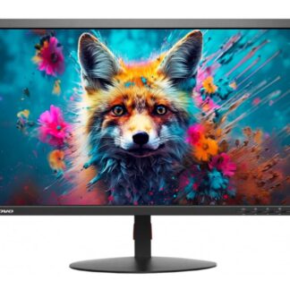 Lenovo ThinkVision T2454pA