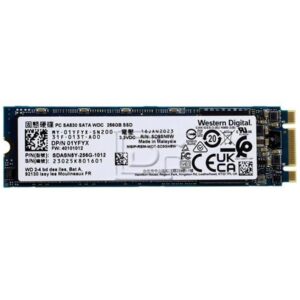 124229 western digital sdasn8y 256gb sata 2280 jpg.jpg
