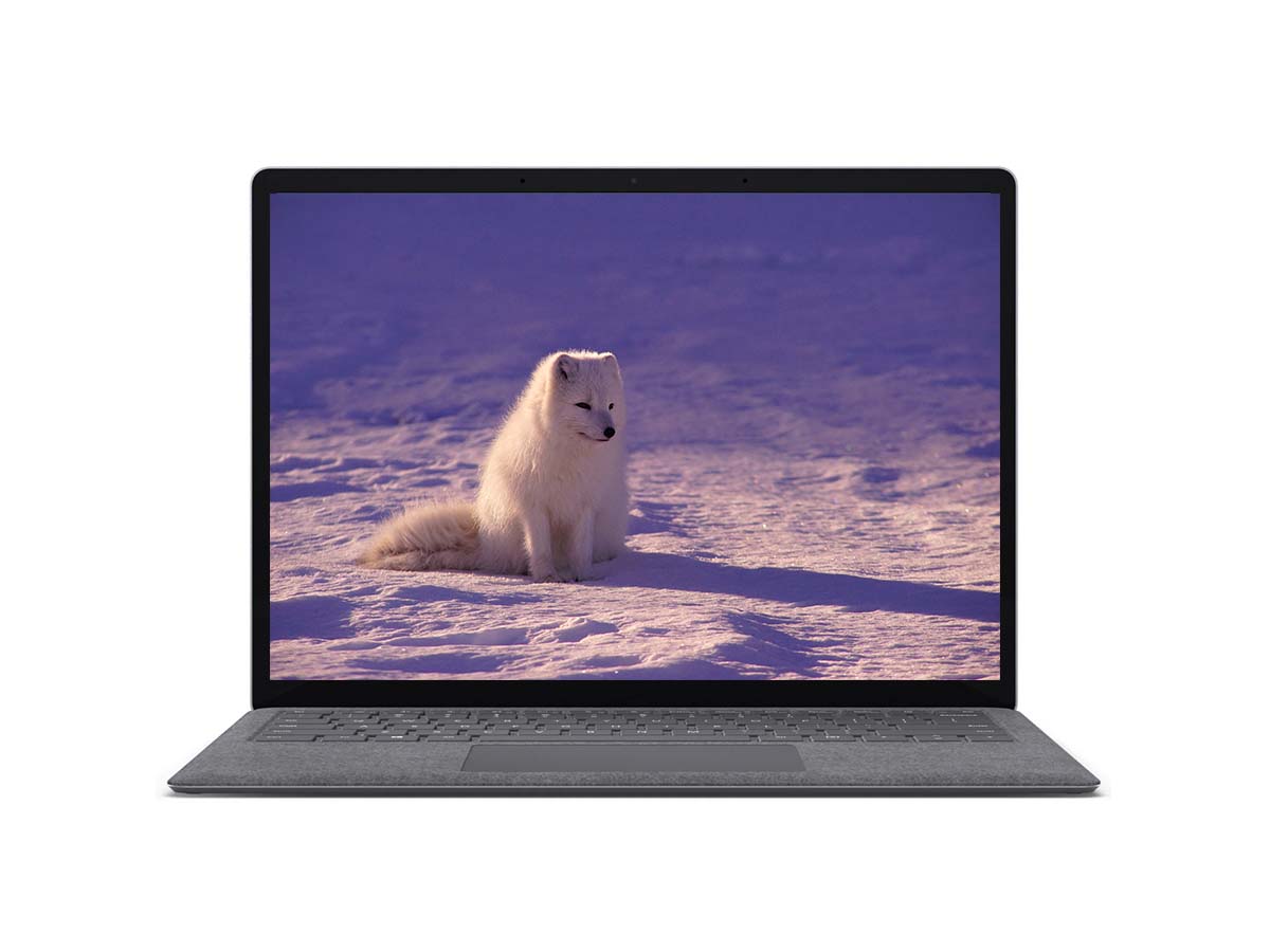 126365__microsoft-surface-laptop-4-1-jpg 126365 microsoft surface laptop 4 1 jpg.jpg
